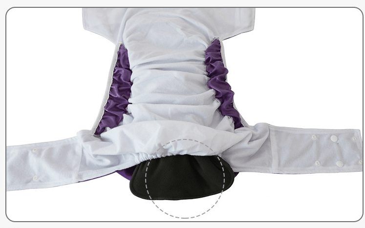 Adult Washable Incontinence Pants for Seniors and Patients - FamilyCarers.store
